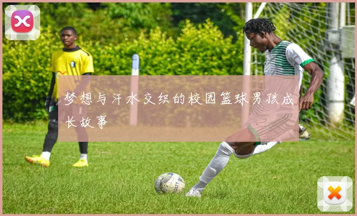 梦想与汗水交织的校园篮球男孩成长故事