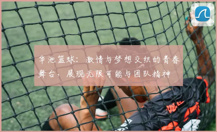 华池篮球：激情与梦想交织的青春舞台，展现无限可能与团队精神