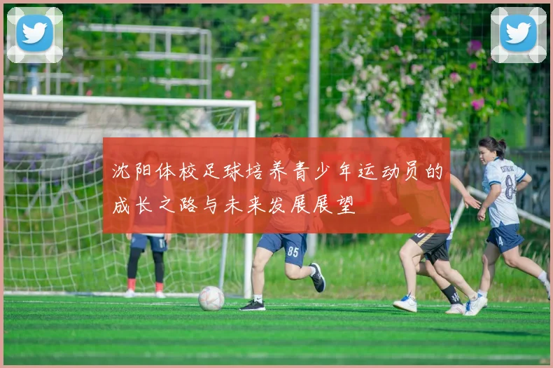 沈阳体校足球培养青少年运动员的成长之路与未来发展展望