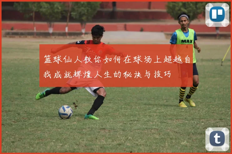 篮球仙人教你如何在球场上超越自我成就辉煌人生的秘诀与技巧